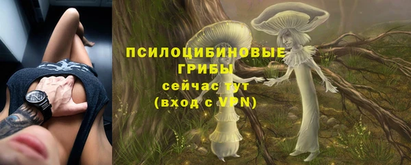 спайс Алексеевка
