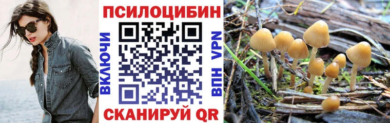 Галлюциногенные грибы Psilocybe  Ельня 